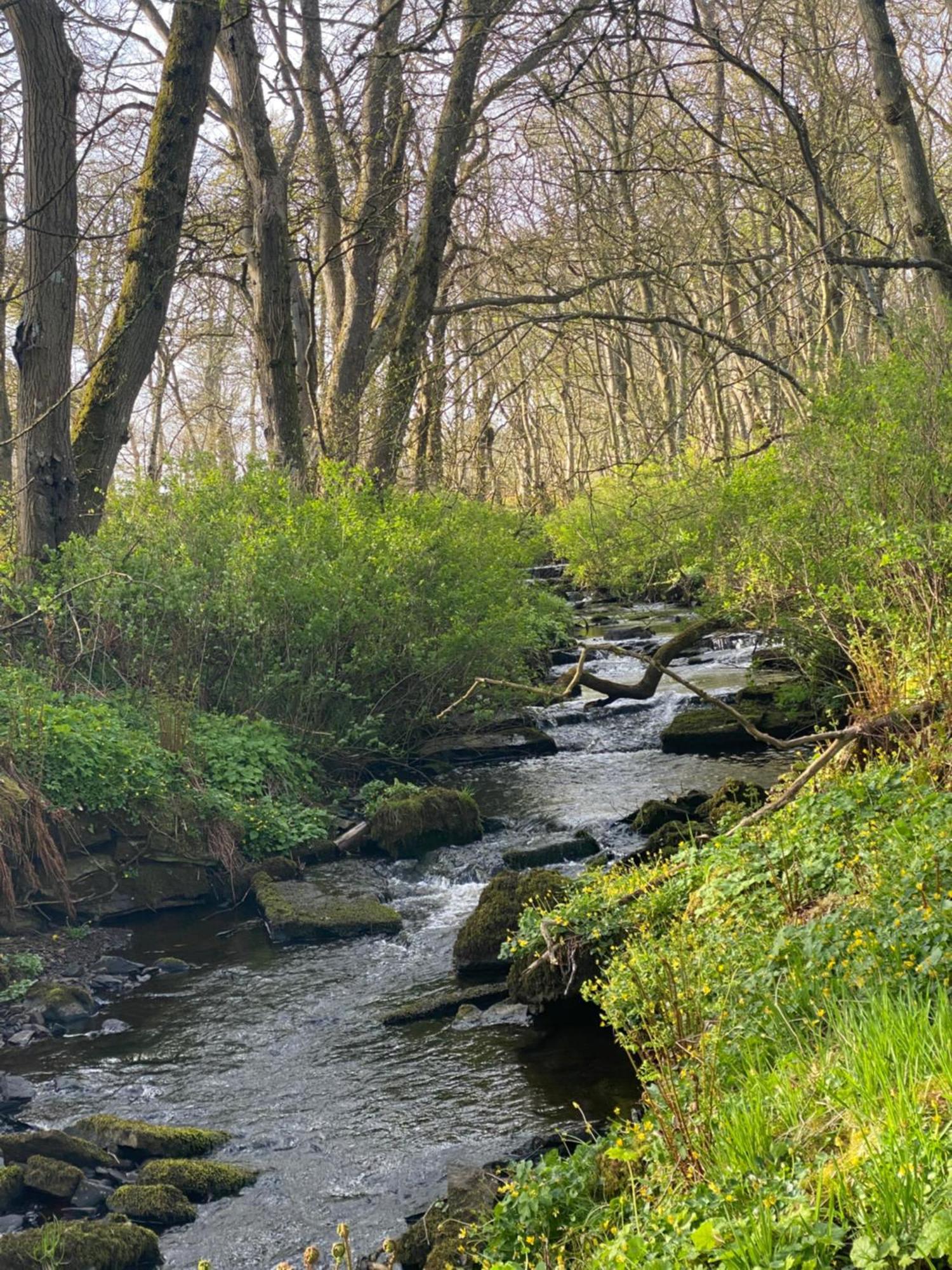 Forse Of Nature Latheron Buitenkant foto
